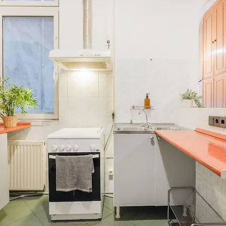 Secluded Spacious Oasis-best Location In Downtown * Budapest