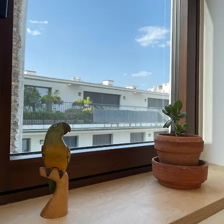 Stylish Apartment, Floor With Private Terrace Apartment
