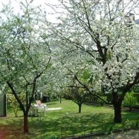 Haus In Mit Grossem Garten Fuer Familien Und Hund Holiday home *