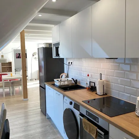 R77 Downtown - Penthouse Apartment *