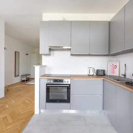 Spacious And Freshly Renovated Budapest