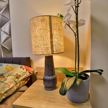 Apartment Karolina In The Silent 11th District *