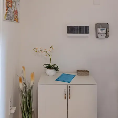 Viol Budapešť