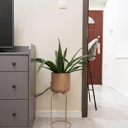 Nova Apartment *