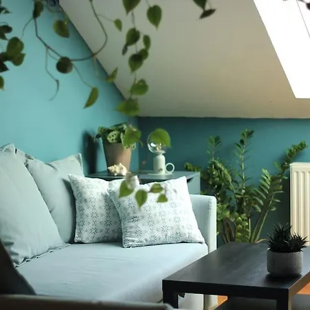 Apartment Cozy On The Buda Side Of Margit Bridge *