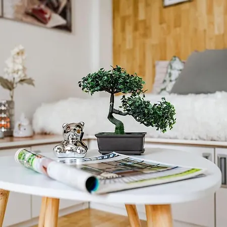 Apartment Adina *