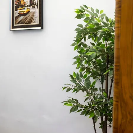 Central Located Cozy In Historical Building * Budapest