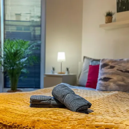Apartment Luxurious Penthouse In The Heart Of Budapest