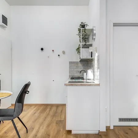 Apartment Bazilika-d45 Premium