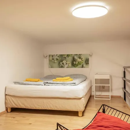 Cosy In Terezvaros Appartamento Budapest