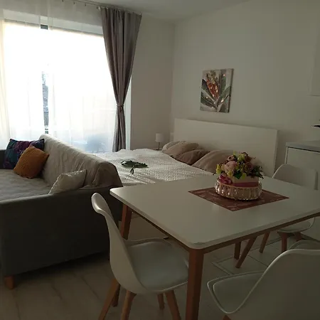 Duna Apartment, Freegarage, 2room, Smarttv,dishwasher Budapest