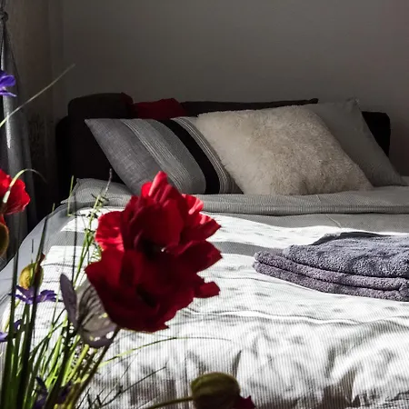 N16-spacey, Modern Family Flat For 5 Budapest