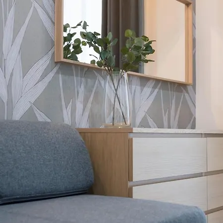 Huge Aparment In The Center With Air Conditioning Apartment *
