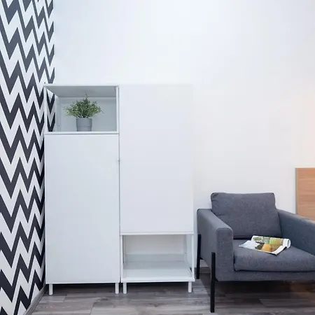 Huge Aparment In The Center With Air Conditioning Apartment Budapest