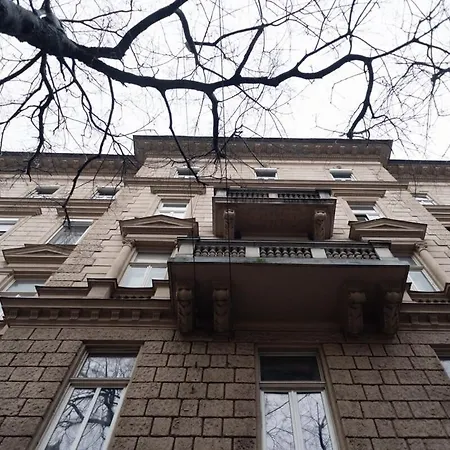 Huge Aparment In The Center With Air Conditioning Apartment