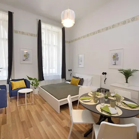 Spacious Basic In The Center Budapest
