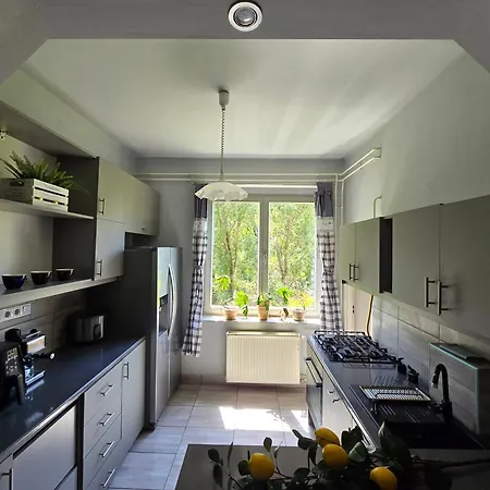Apartment Serenity Family In Old Buda Near Tram Line Budapest