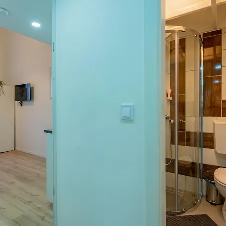 Apartment Rakoczi