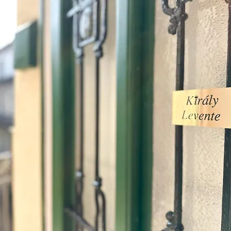 Kiraly Levente - Center Location Ac Apartment