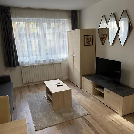 Apartment Boulevard Party 2024 Center