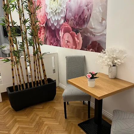 Apartment Millionrosesvintage Vaci Street Budapest