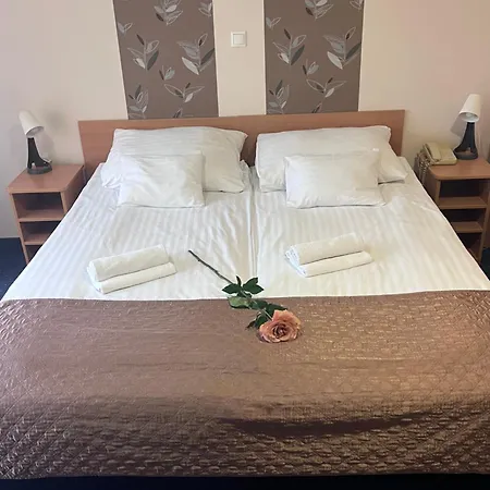 Rose 3*