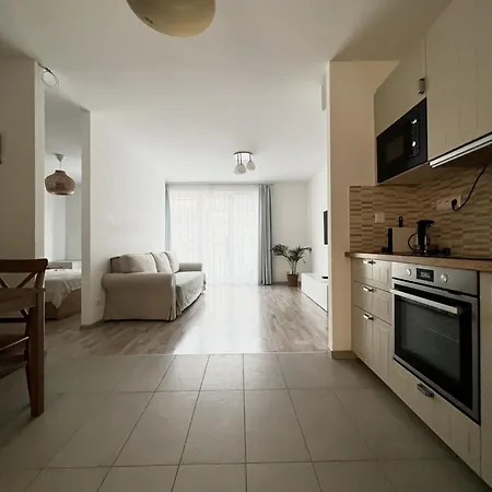 Mt Apartment