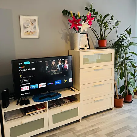 Apartment Onyx With Free Private Garage + Ac Budapest