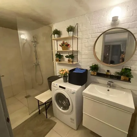 Zenny House Apartment