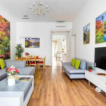 The Spacious Dream Apartment *