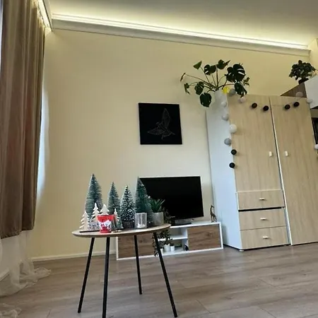 Luxury Apartment