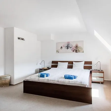 Apartment Penthouse By The Danube