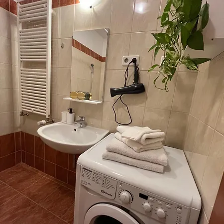 Apartment Downtown Rose Garden Whit Garage Opcional Budapest