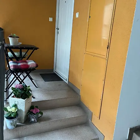 Apartment Downtown Rose Garden Whit Garage Opcional Budapest