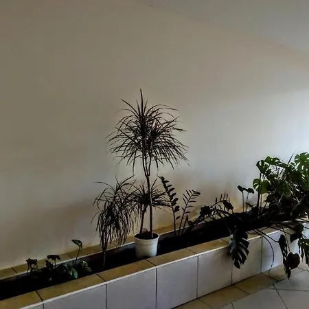 Apartment Antonius Budapest