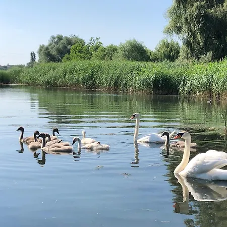 K52 * Budapešť