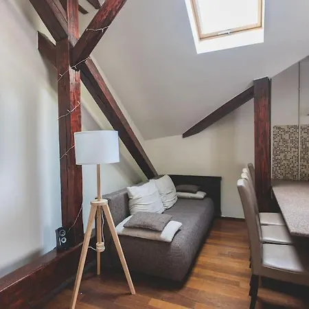 Klotild & Matild Floor In Downtown Apartment