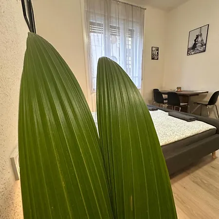 Apartment Deri Corner By Downtown Budapest
