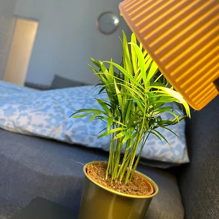 Deri Corner By Downtown Apartment Budapest
