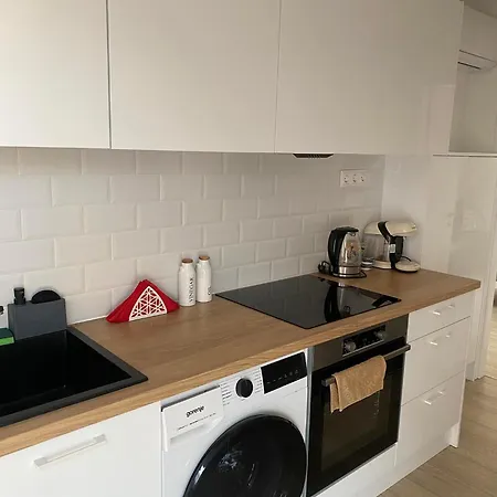Apartment R77 Downtown - Penthouse *