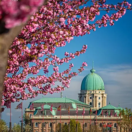 Carlton Buda Castle 4*
