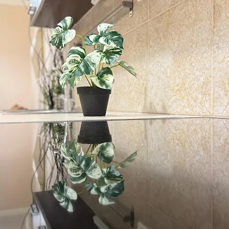 Apartment Vaci Corso
