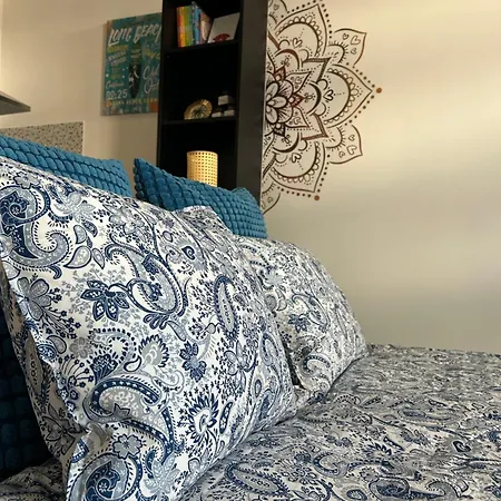 Apartment New Studio-free Parking Evcs