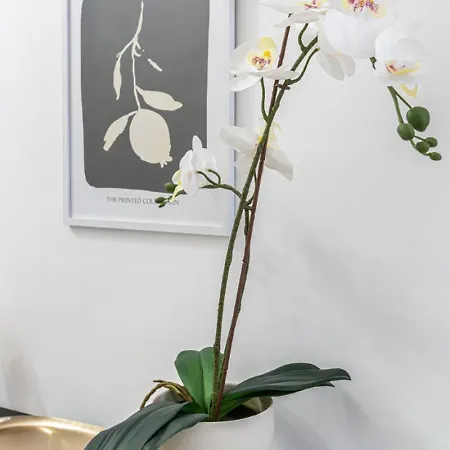 Apartment 80 Sqm, 3 Bedrooms, 2 Bathrooms, New Budapest