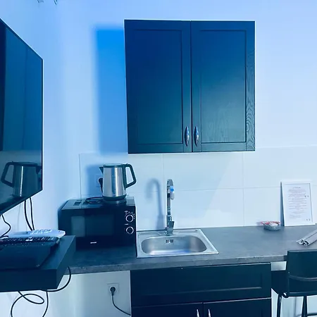 Luxury Downtown Apartment *
