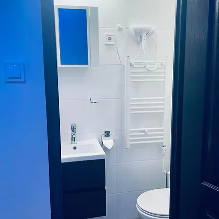 Luxury Downtown Apartment