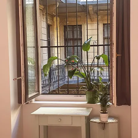 Museum Habitación en casa particular