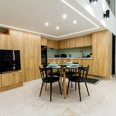 2 Bedroom W Ac Extravagant Gallery Loft By Newave Budapest