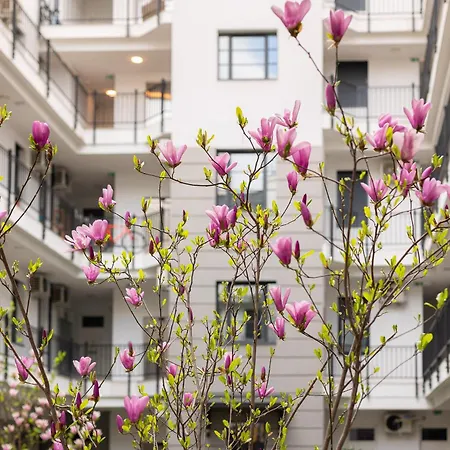 Magnolia Budapest