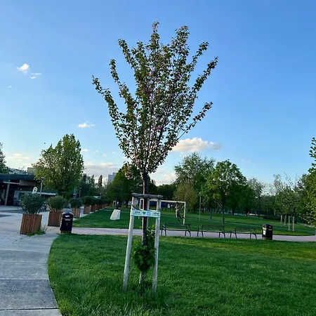 Park Apartment